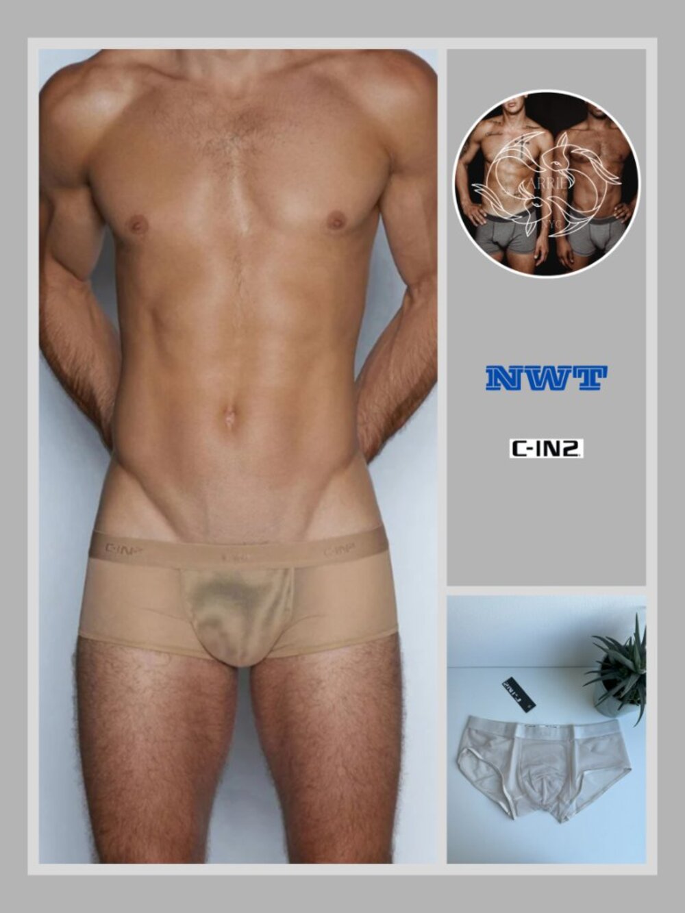 C-IN2 - Sheer - Hipster Brief - Navid Neutral (M)
